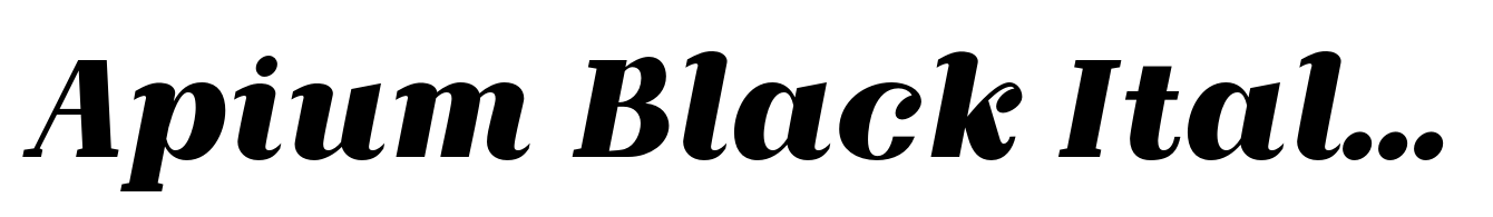Apium Black Italic